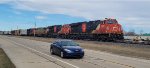 CN 3230 CN 3225 CN 3953 CN 8884